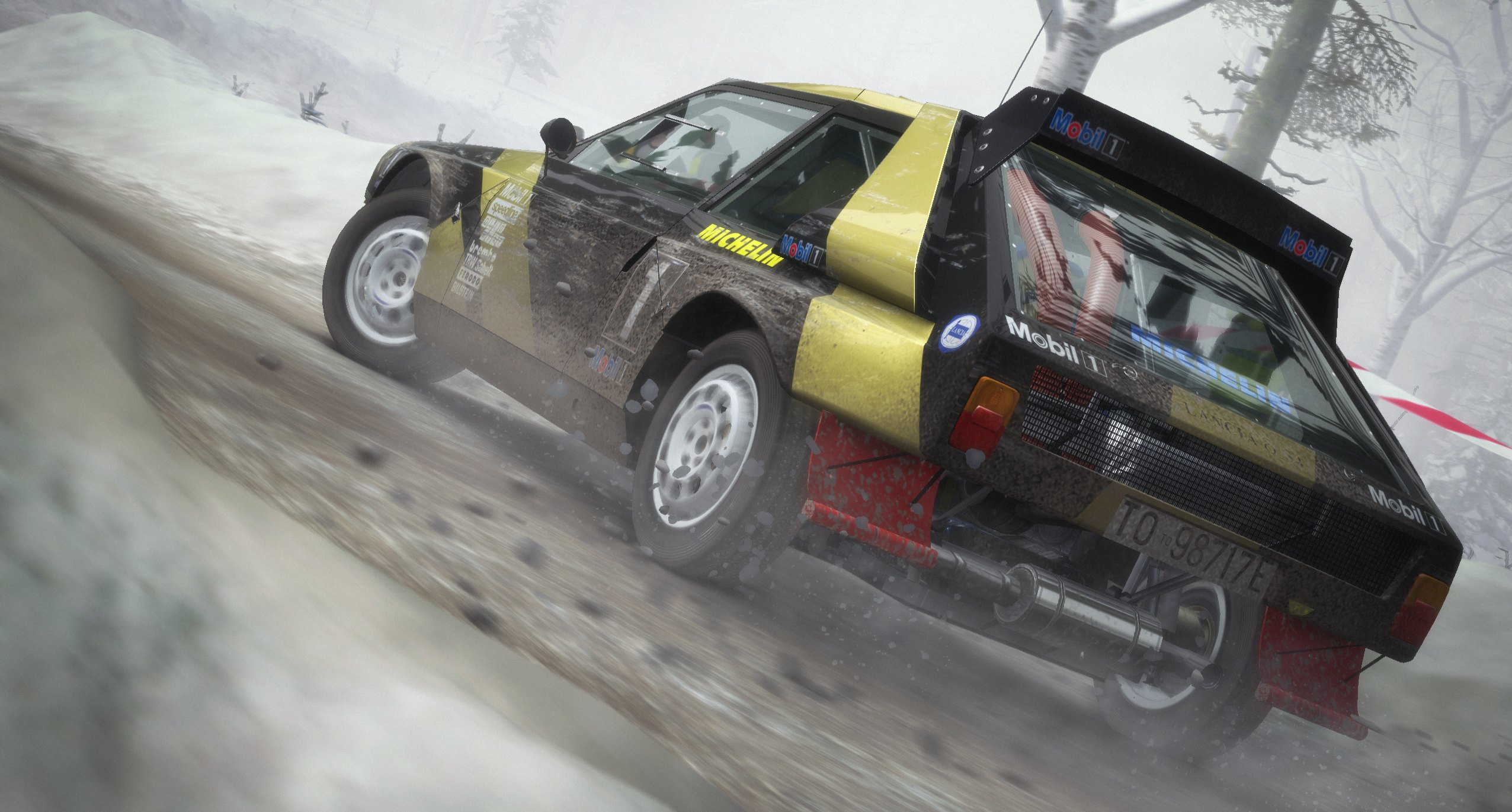 DiRT Rally - Imagen 17